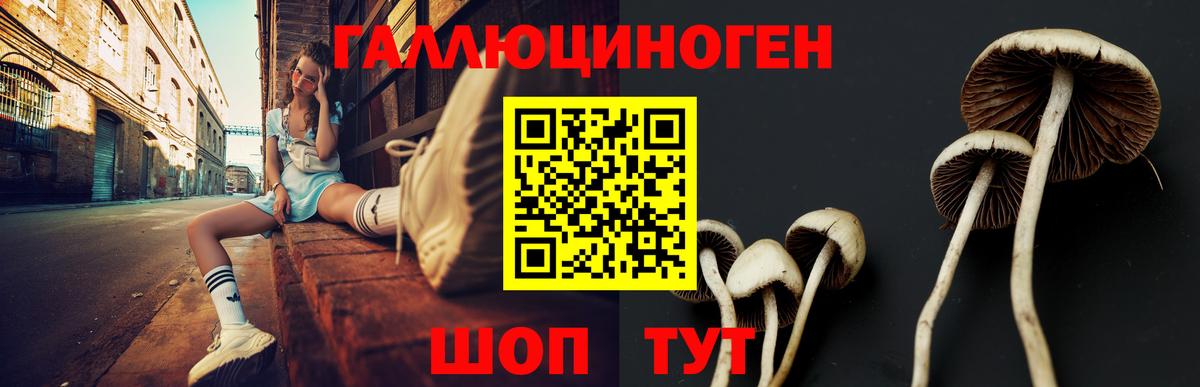 Галлюциногенные грибы ЛСД Урюпинск